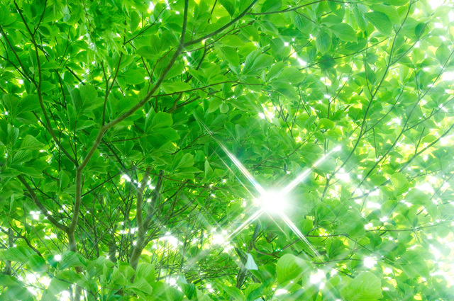 最新医学の力とヒーリングのシナジー効果で、幸せな人を増やしたい。 最新医学の力とヒーリングのシナジー効果で、幸せな人を増やしたい。
